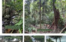 Terreno em Ilhabela/SP  Siriuba