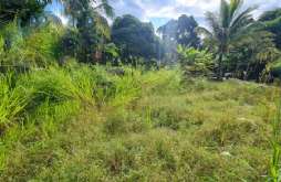 Terreno em Ilhabela/SP  Costa Bela