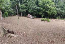 Terreno  venda  em Ilhabela/SP - Siriuba REF:845
