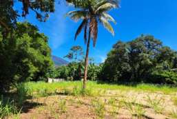 Terreno  venda  em Ilhabela/SP - Piva REF:703