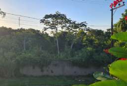 Terreno  venda  em Ilhabela/SP - Ilhote REF:821