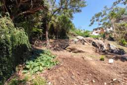 Terreno em condomnio/loteamento fechado  venda  em Ilhabela/SP - Portinho REF:1016