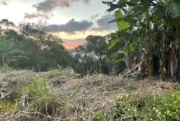 Terreno  venda  em Ilhabela/SP - Borrifos REF:779