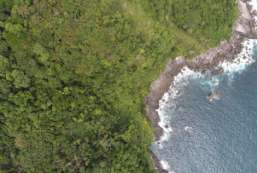 Terreno  venda  em Ilhabela/SP - Praia Grande REF:948