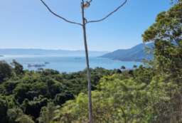 Ver más Lote en Ilhabela/SP - Ilhote Lote en venta  en Ilhabela/SP - Piuva REF:972
