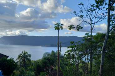 Veja mais Terreno em Ilhabela/SP  Praia Grande REF: 873 Terreno em Ilhabela/SP  Praia Grande REF: 873