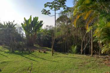 Terreno em Condomnio/loteamento Fechado em Ilhabela/SP  Arrozal REF: 1018