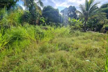 Veja mais Terreno em Ilhabela/SP  Costa Bela REF: 1025 Terreno em Ilhabela/SP  Costa Bela REF: 1025