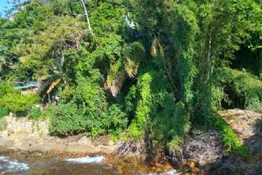 Ver más Lote em Ilhabela/SP  Piúva REF: 703 Lote em Ilhabela/SP  Piúva REF: 703