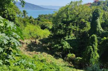 Terreno em Condomnio/loteamento Fechado em Ilhabela/SP  Siriuba REF: 810