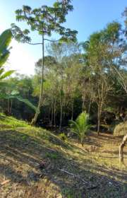 terreno-em-condominio-loteamento-fechado-a-venda-em-ilhabela-sp-arrozal-ref-1018 - Foto:7