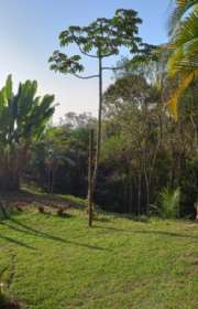 terreno-em-condominio-loteamento-fechado-a-venda-em-ilhabela-sp-arrozal-ref-1018 - Foto:1