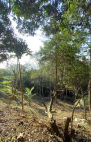 terreno-em-condominio-loteamento-fechado-a-venda-em-ilhabela-sp-arrozal-ref-1018 - Foto:13