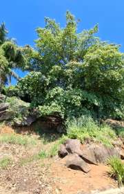 terreno-em-condominio-loteamento-fechado-a-venda-em-ilhabela-sp-pacuiba-ref-1052 - Foto:6