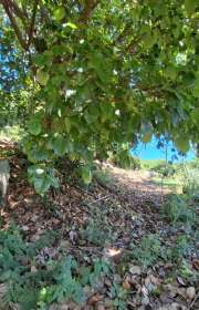terreno-em-condominio-loteamento-fechado-a-venda-em-ilhabela-sp-pacuiba-ref-1052 - Foto:23