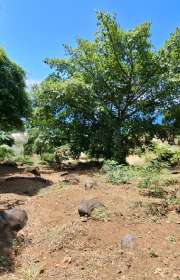 terreno-em-condominio-loteamento-fechado-a-venda-em-ilhabela-sp-pacuiba-ref-1052 - Foto:14