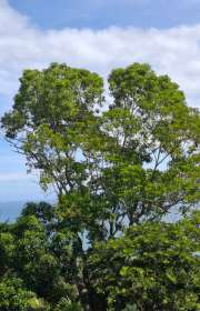 terreno-a-venda-em-ilhabela-sp-portinho-ref-1058 - Foto:9