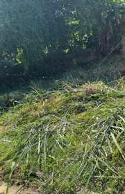 land-for-sale-in-ilhabela-sp-bexiga-ref-1068 - Foto:4