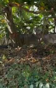 land-for-sale-in-ilhabela-sp-bexiga-ref-1068 - Foto:8