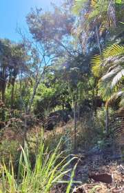 terreno-em-condominio-loteamento-fechado-a-venda-em-ilhabela-sp-arrozal-ref-1080 - Foto:8