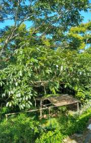 lote-en-venta-en-ilhabela-sp-piuva-ref-703 - Foto:11