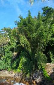 lote-en-venta-en-ilhabela-sp-piuva-ref-703 - Foto:2