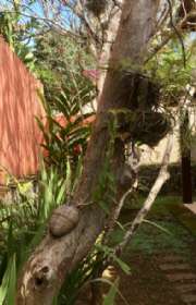 casa-para-venda-ou-locacao-em-ilhabela-sp-costa-bela-ref-729 - Foto:6